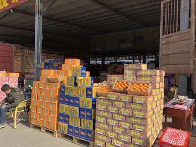 走进郑州万邦,最大的水果批发市场,东西远比市场价要便宜