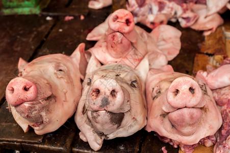 自制农业生新鲜有机猪头供在亚述食品市场销售火腿图片素材